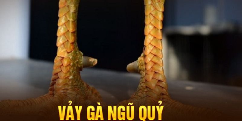 Khái niệm về vảy ngũ quỷ của gà