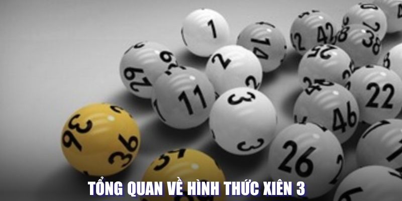 Tìm hiểu về hình thức xiên 3